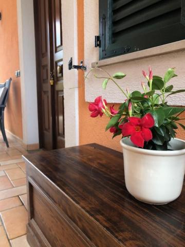 Il Giardino Delle Rose Leilighet Spello Eksteriør bilde