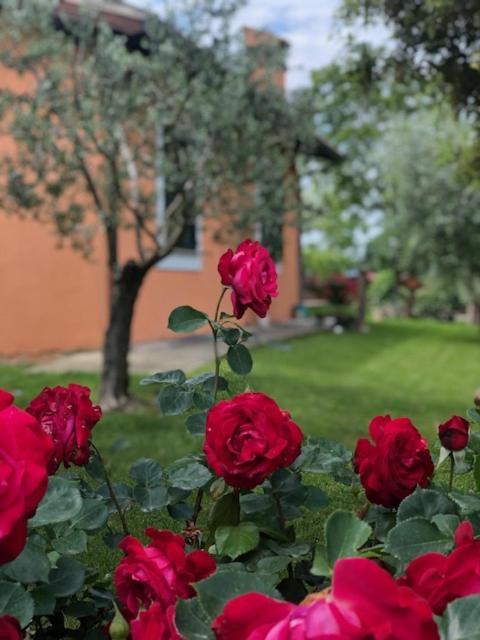 Il Giardino Delle Rose Leilighet Spello Eksteriør bilde